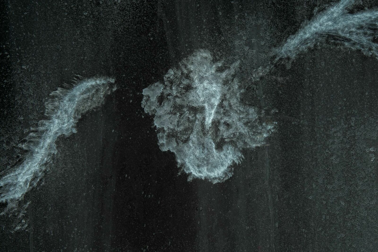 Galeriebild des Projekts HIDING IN PLAIN SIGHT