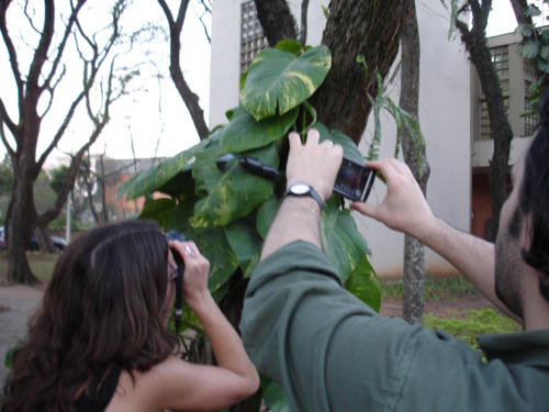 pacodasartes1-20006