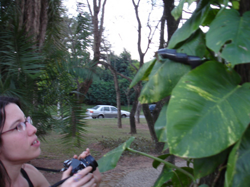 pacodasartes1-20008