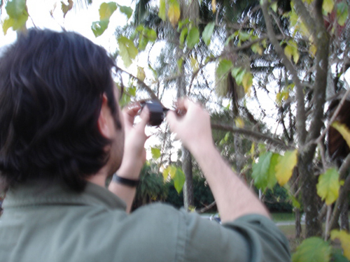 pacodasartes1-20024