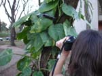 pacodasartes1-20011