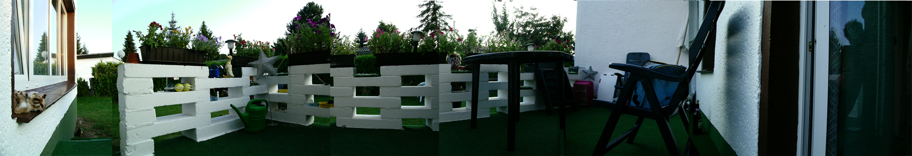 the cat-performer showing/hiding herself in another house garden with flowers and plants